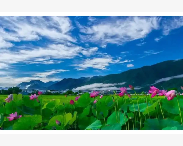 嗯气血不足，如何补充能量与调理身体？
